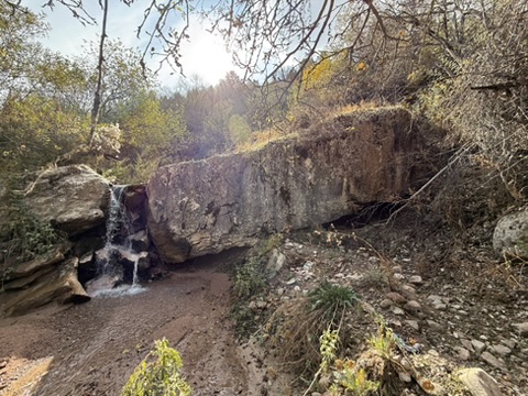 Photo 5
