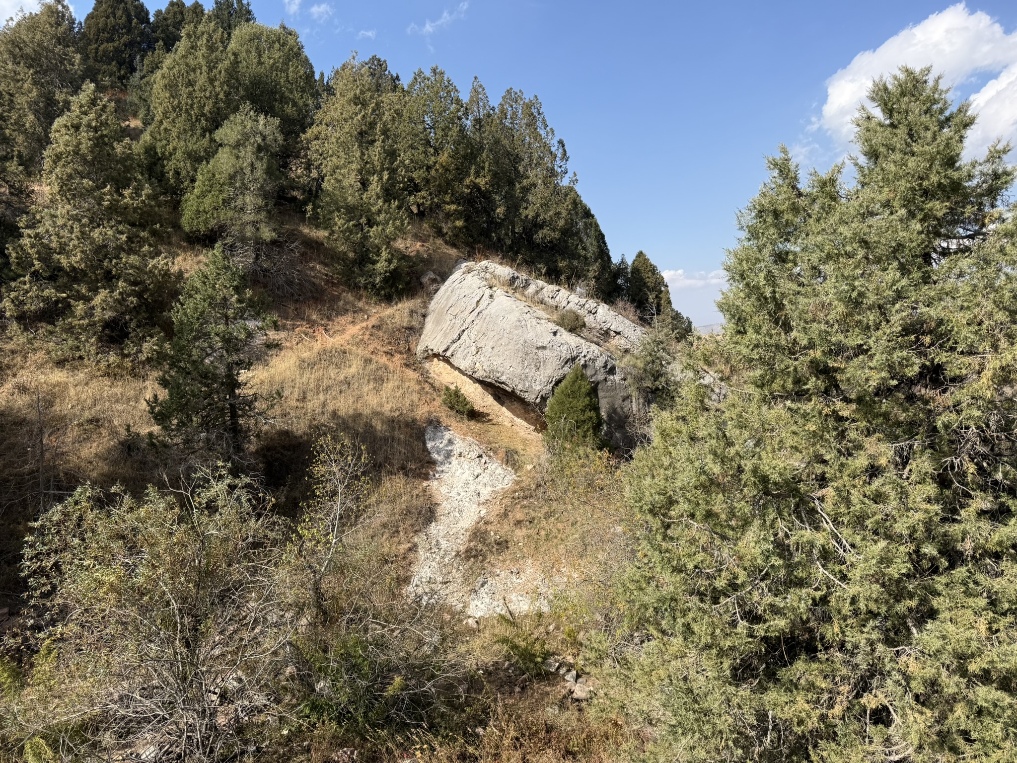 Pale inclined rock slab on the Chimgan flank